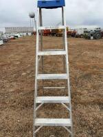 6 foot step ladder