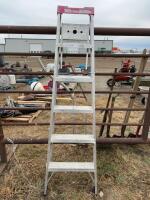 6 foot step ladder