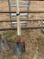 Flat nose, shovels