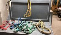 BOX W/(5) NYLON HALTER + HEAVY HORSE BOSAL