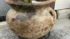 ARTIFICIAL CORN PLANT IN POTTERY BASE - 3
