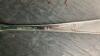 FLATWARE IN TARNISHPROOF CASE - 3