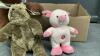 CUDDLY FRIENDS - 3