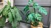 ARTIFICIAL PLANTS