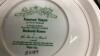 COLLECTIBLE PLATES - 14