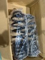 Set of new standins coil springs