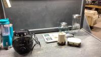 SMALL BLENDER, HUMIDIFIER, GO CUPS, CANNISTER, MIRROR TILE