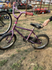 PURPLE KIDS BIKE