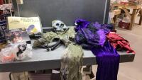 HALLOWEEN COSTUMES, DECOR AND MASKS