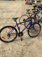 PURPLE BIKE. ADULT