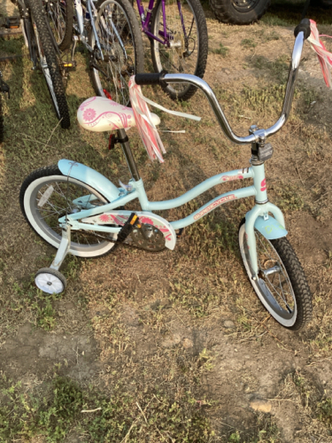 SUPERCYCLE BLUE BIKE W/TRAING WHEELS