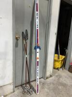 Set of cross country, skis, and poles