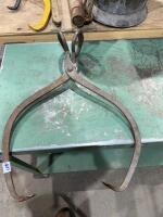 Ice tongs