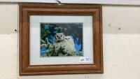 SMALL OWL PICTURE