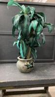 TERRA COTTA POT W/ "GHEKKO" AND ARTIFICIAL PLANT