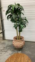 ARTIFICIAL CORN PLANT IN TERRA COTTA POT