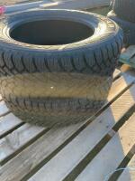 Pair of Nordic winter tires