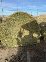 1 Round bale of 3ed cut alfalfa hay