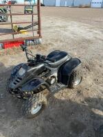 GTO black kids quad