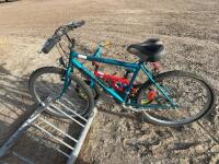 Boys full-size bicycle
