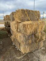 (11) small square's of 2024 pivot corner hay ( mostly grass )