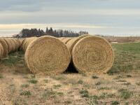 ( 38 BALES ) 2ND CUT ALFALFA , CALVING HAY ( 1350 LBS )