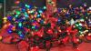 BOX OF CHRISTMAS LED LIGHTS - MULTI COLORS - 2