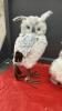 (3) WHITE FLUFFY OWL DECOR - 4