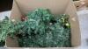 BOX OF CHRISTMAS DECOR - GARLAND, LARGE RED BOWS, RIBBON, BOWS - 4