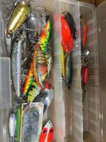 Organizer of lures