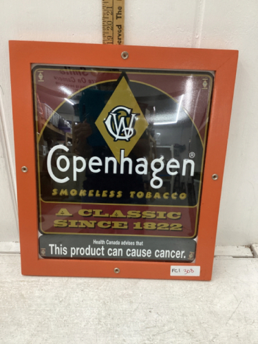 COPENHAGEN PICTURE