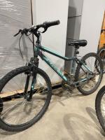 Supercycle bicycle