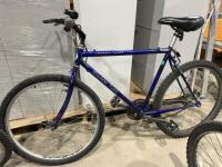 Black Tusk bicycle