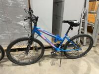 Algonkin Novelo bicycle