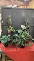 BOX OF GREENERY