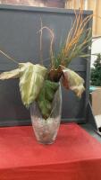 LARGE GLASS VASE W/ REEDS