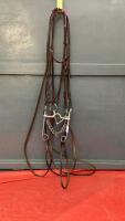DOUBLE BRIDLE W/ REINS