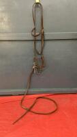 SHOW HALTER W/ LEAD