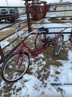 Schwinn trike