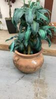 LARGE TERRA COTTA POT W/ ARTIFICIAL PLANT