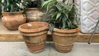 (2) TERRA COTTA FLOWER POTS - ONE W/ ARTIFICIAL PLANT