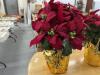 (2) POTTED ARTIFICIAL POINSETTIAS - 2