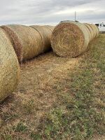 ( 28 BALES ) 2ND CUT METABOLIC GRADE HORSE HAY ( 1350 LBS )