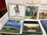 BOX OF BOOKS - WESTERN THEMED, HISTORICAL