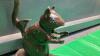 CAST SQUIRELL NUT CRACKER - 3