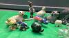 SMALL BOX OF ANIMAL ORNAMENTS - 3