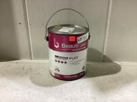 BEAUTITONE\PAINT