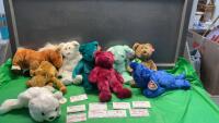ASSORTED BEANIE BUDDIES
