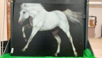 WHITE HORSE PICTURE ON CANVAS