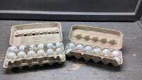 USED GOLF BALLS